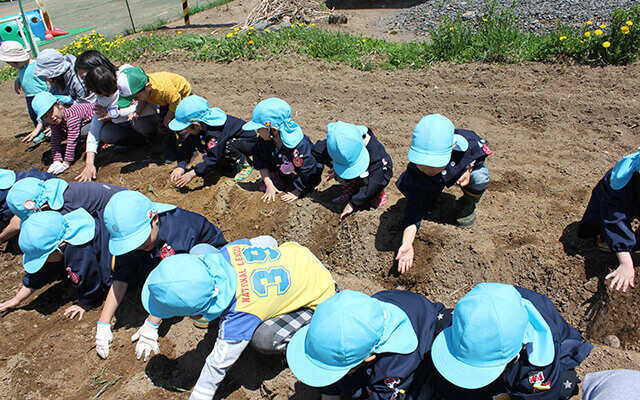 ひばり畑での食育